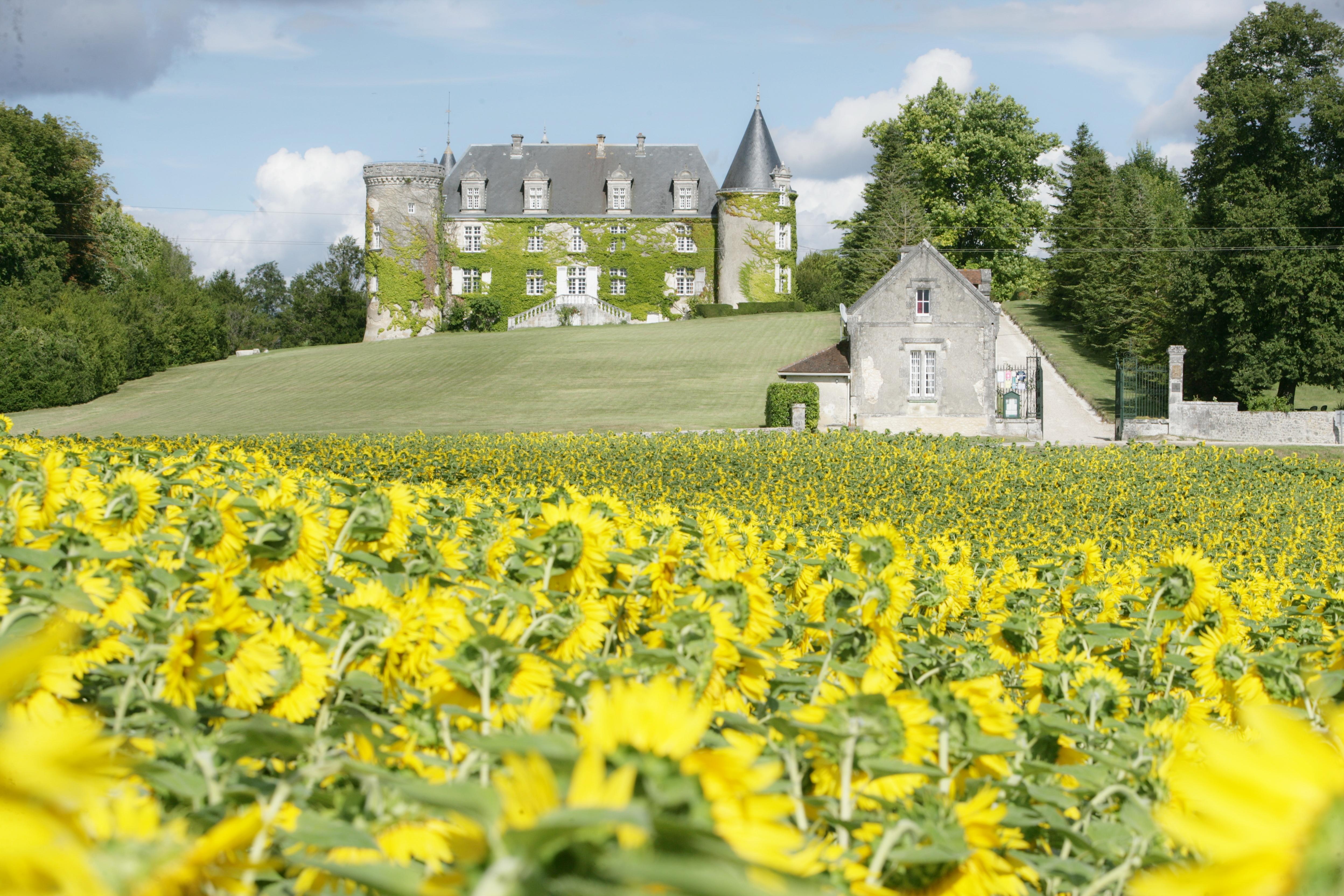 Hotel & Spa Chateau De La Cote - Brantome Biras Zewnętrze zdjęcie