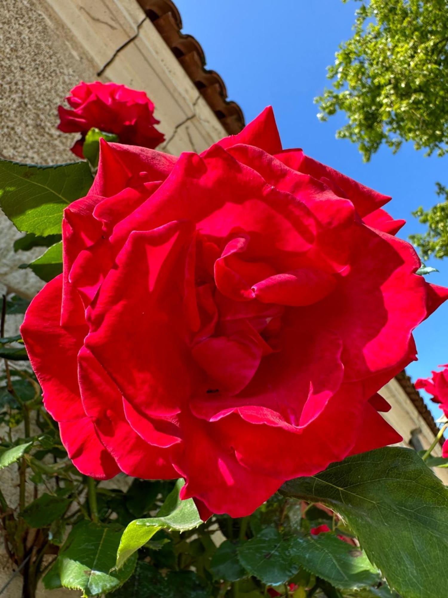Hotel & Spa Chateau De La Cote - Brantome Biras Zewnętrze zdjęcie